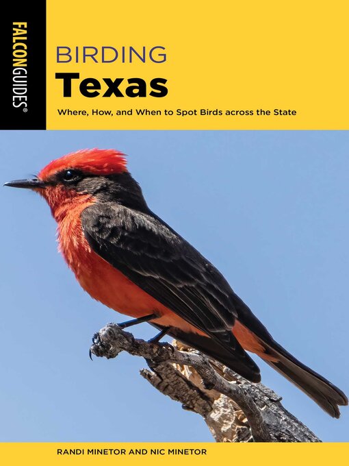 Title details for Birding Texas by Randi Minetor - Wait list